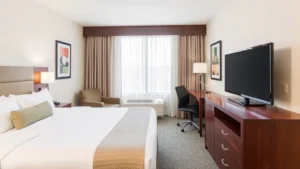 Comfortable modern hotel room with queen bed, neutral colors, flat-screen TV, and clean contemporary furnishings in a Virginia hotel setting