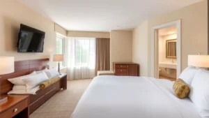 Spacious hotel room featuring queen-size bed with luxury linens, wooden nightstands with lamps, large window showing trees, flat-screen television on wall, beige and cream color palette, clean modern bathroom visible through open door